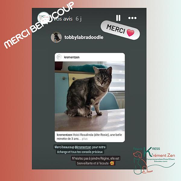02 avis 07 mars 2024
