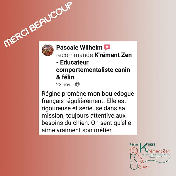 10 avis novembre 2024