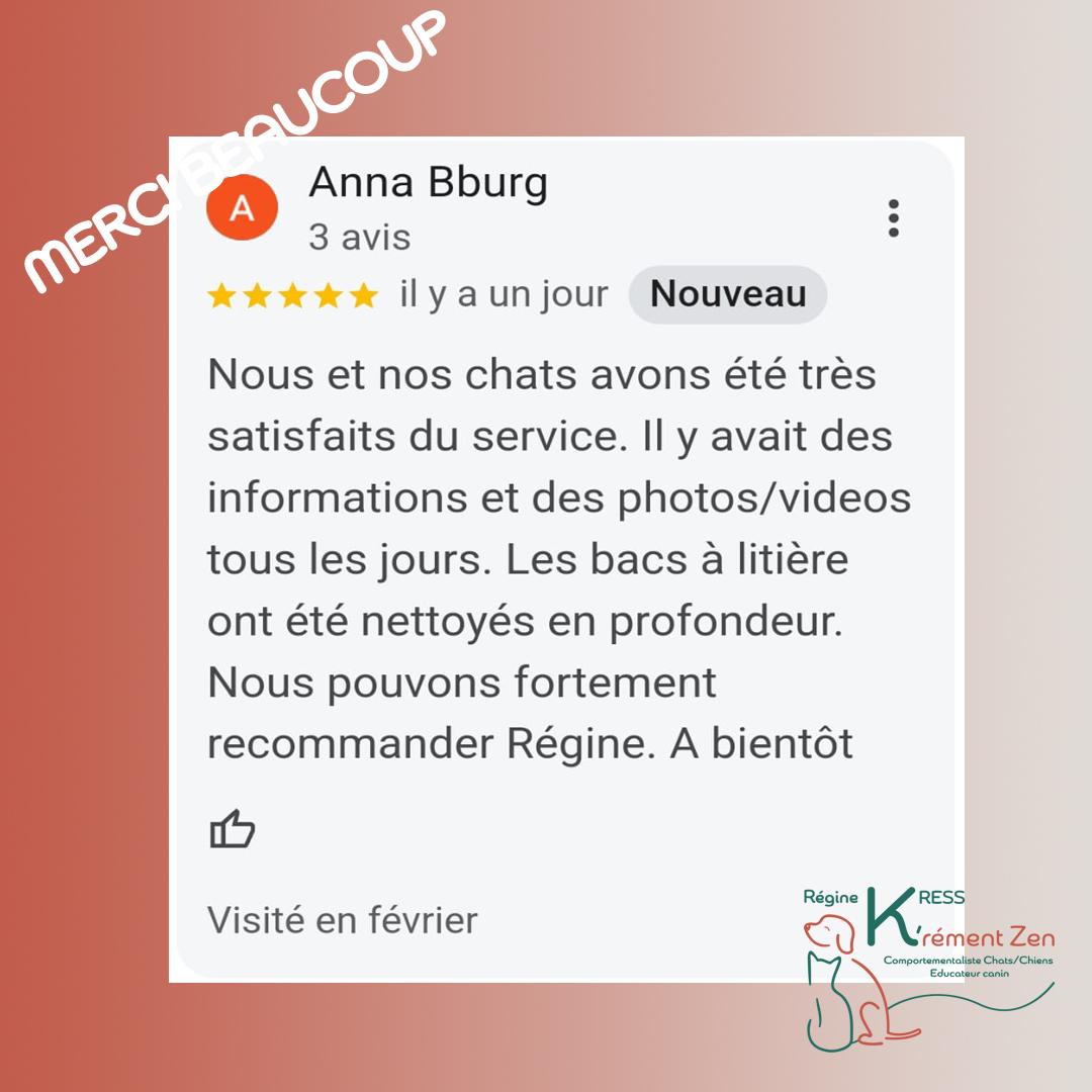 13 avis fevrier 2025