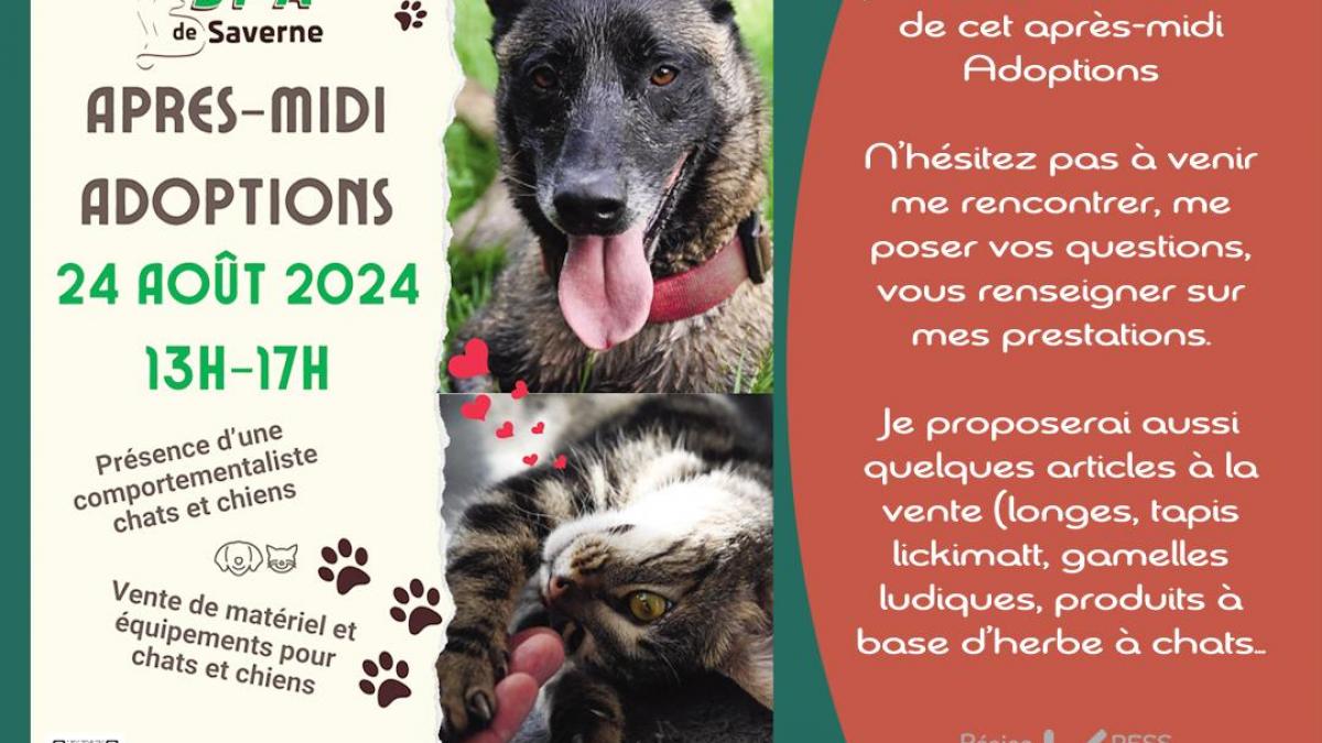 Stand comportementaliste - Refuge SPA Saverne