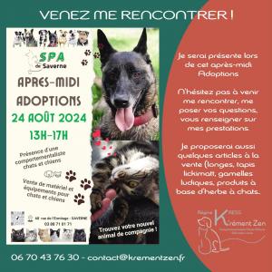 A midi adoptions 240824
