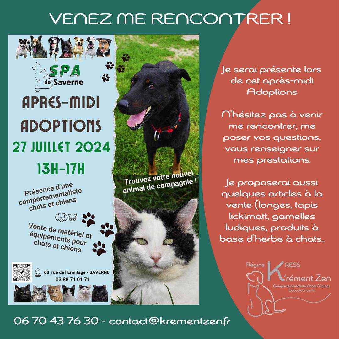 A midi adoptions 270724