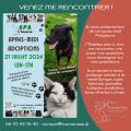A midi adoptions 270724
