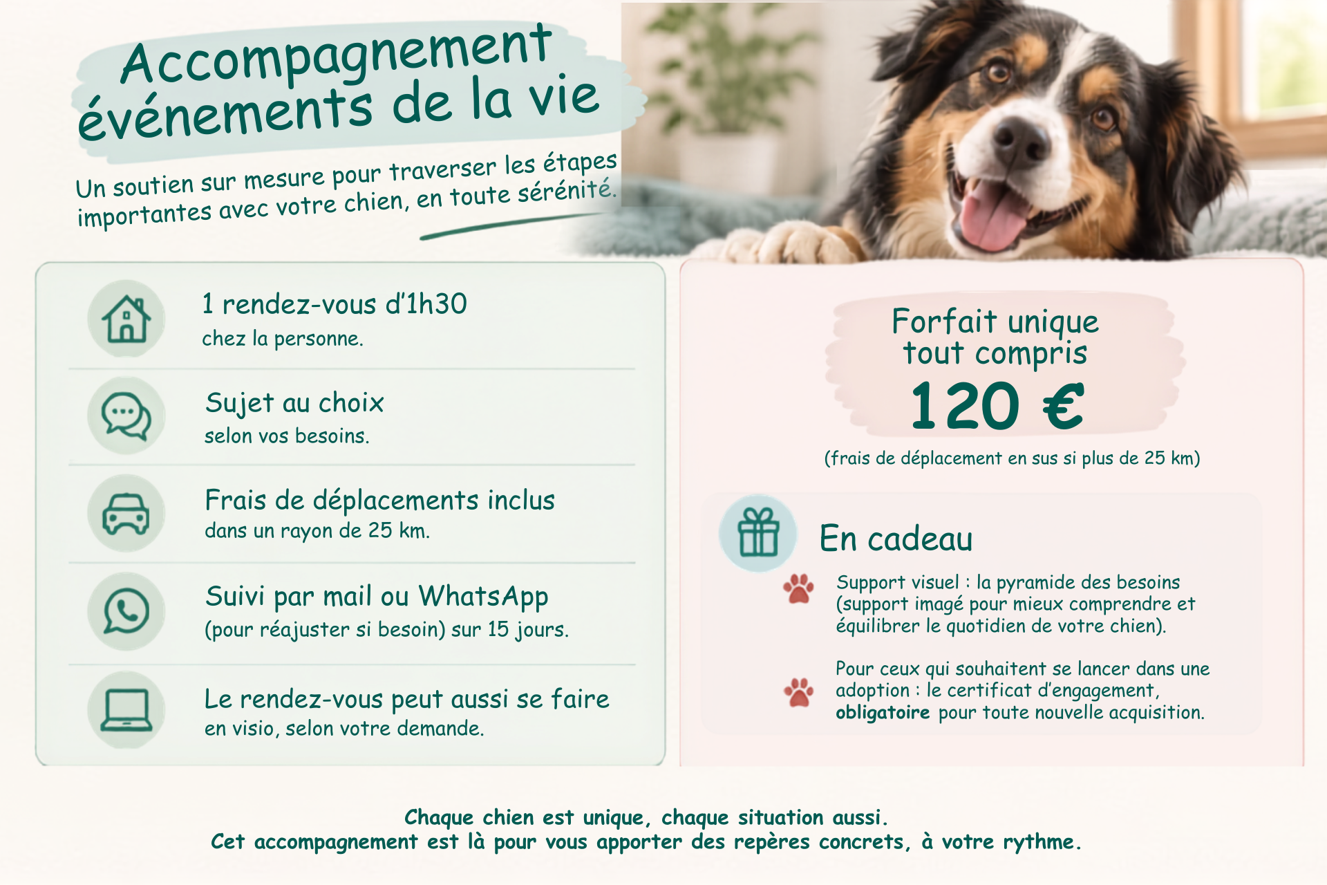 Accompagnement canin
