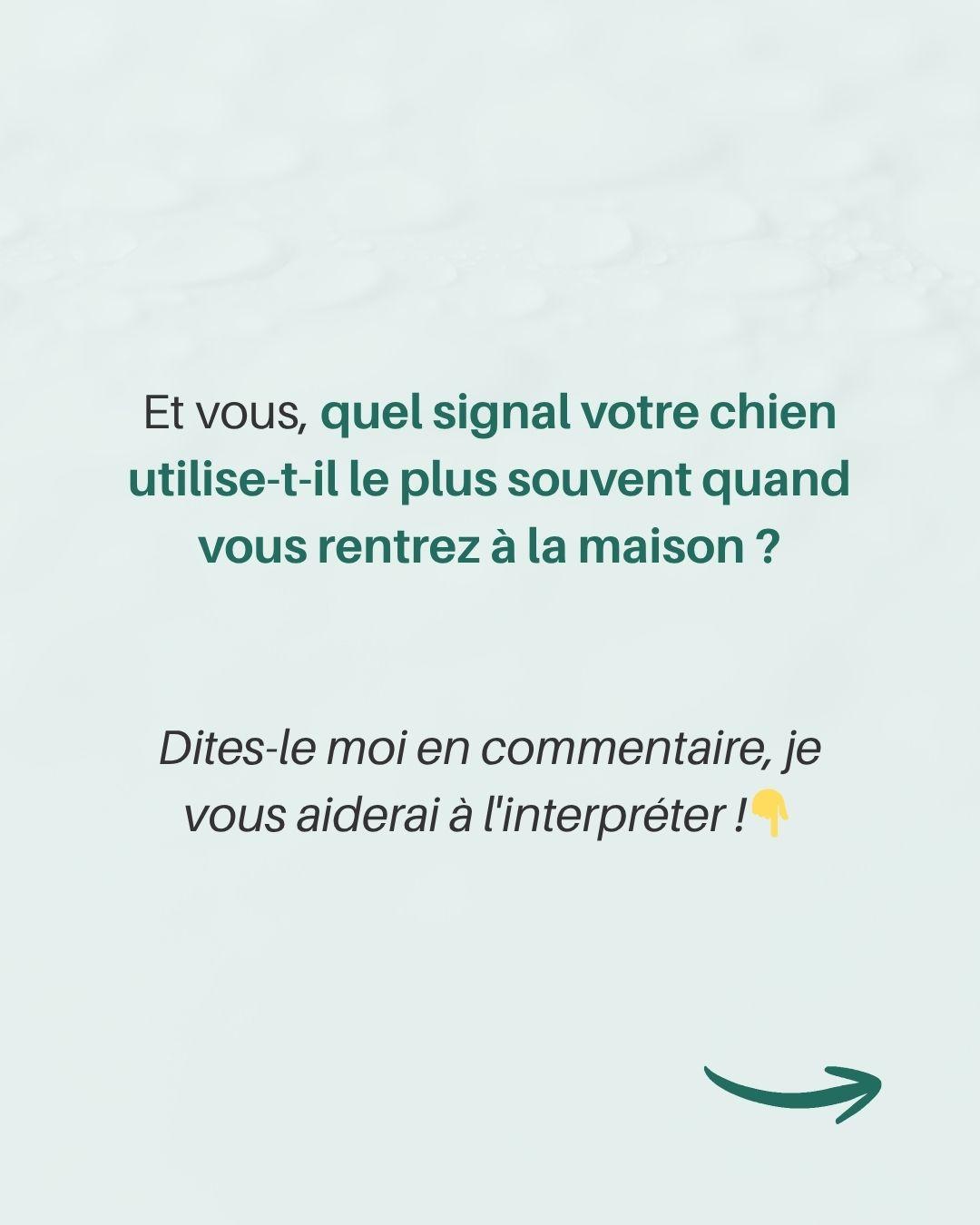 Air coupable de linnocent 10 