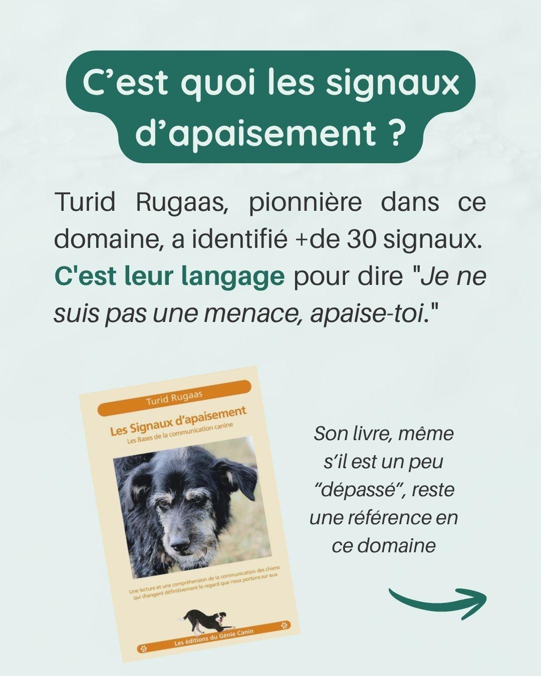 Air coupable de linnocent 3 