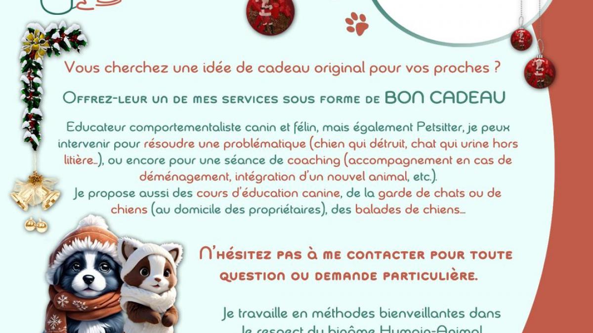 Cadeau de Noël original