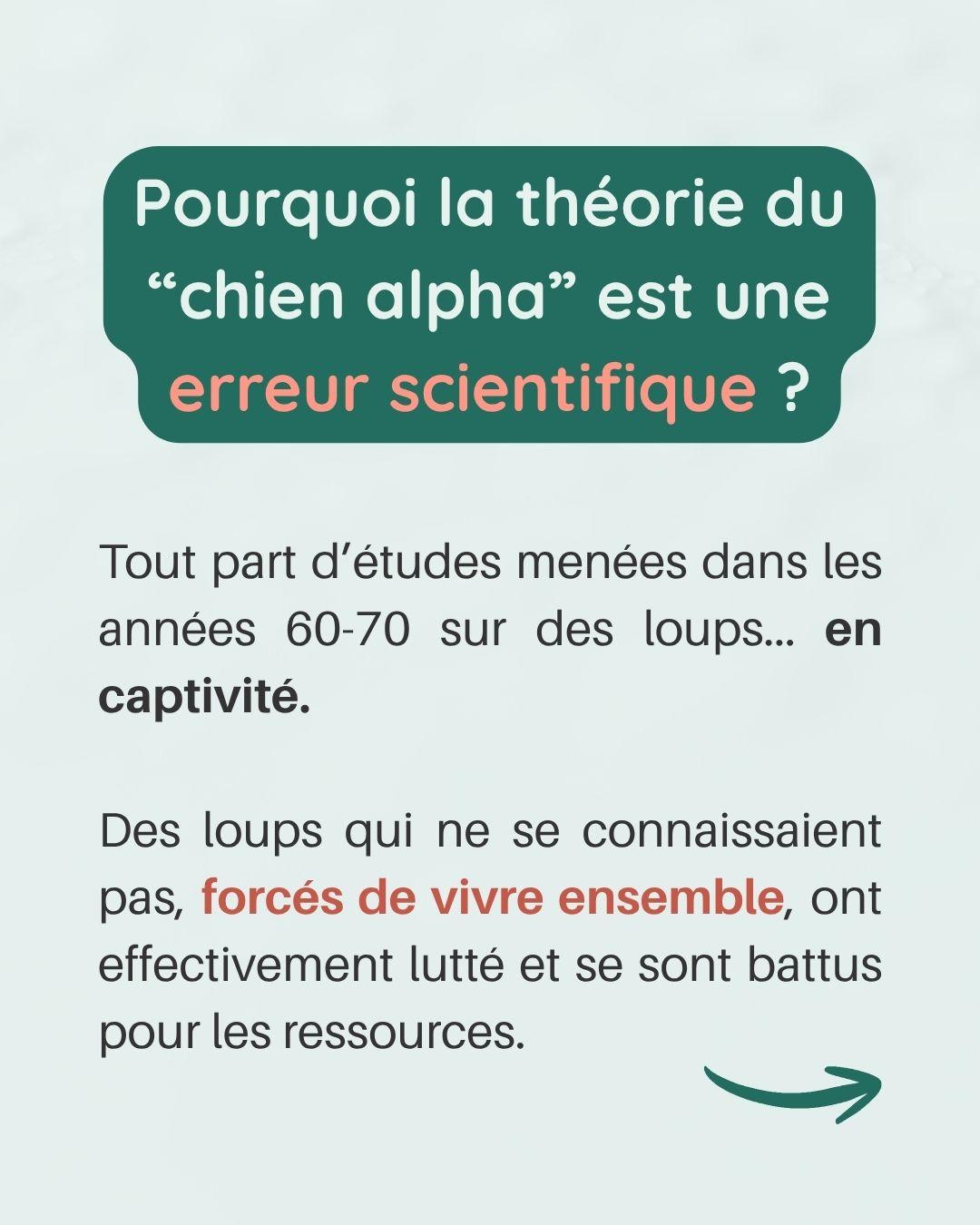 Chien alpha nexiste pas 2 
