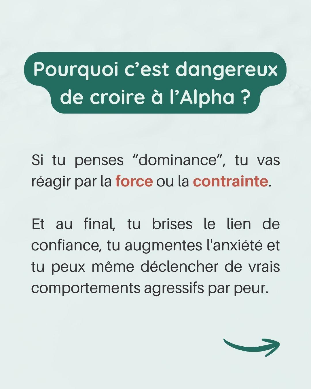 Chien alpha nexiste pas 6 