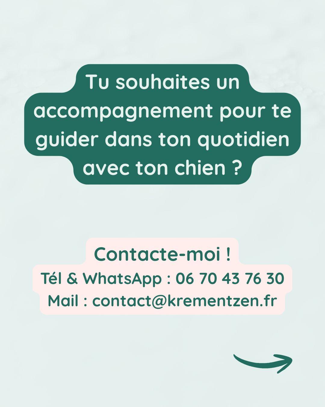 Chien alpha nexiste pas 8 