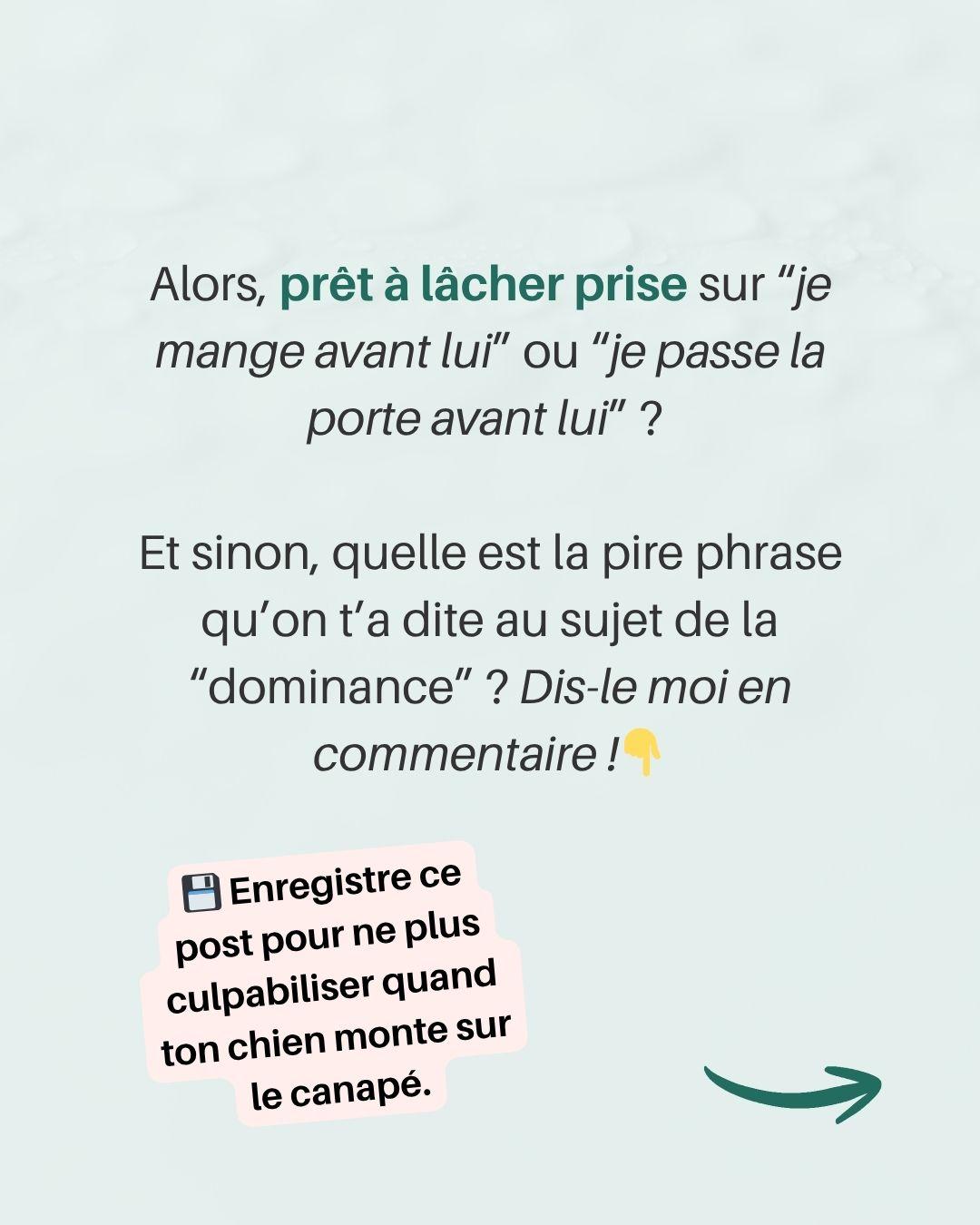 Chien alpha nexiste pas 9 