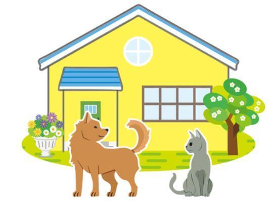 Le chat (ou le chien) est-il territorial ?