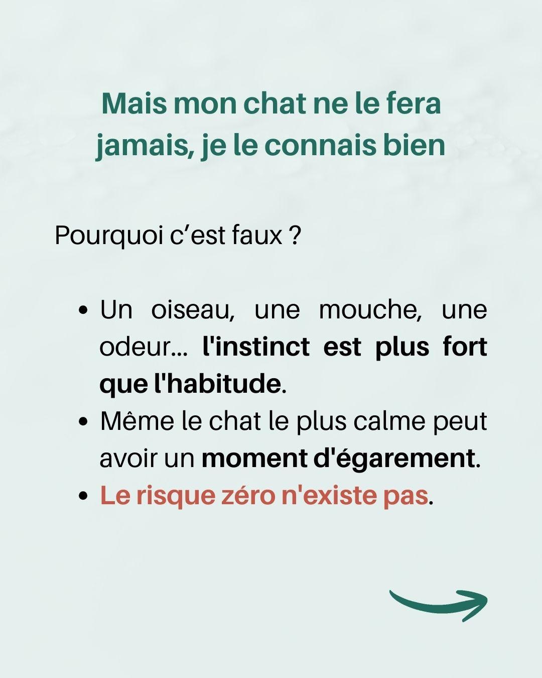 Danger fenetre oscillo battant 5 