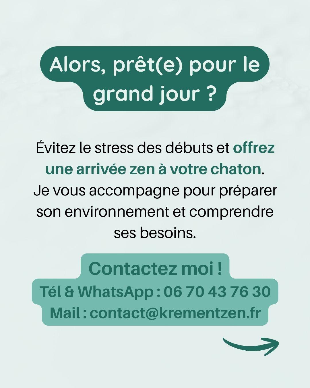 Erreurs avec chaton 10 