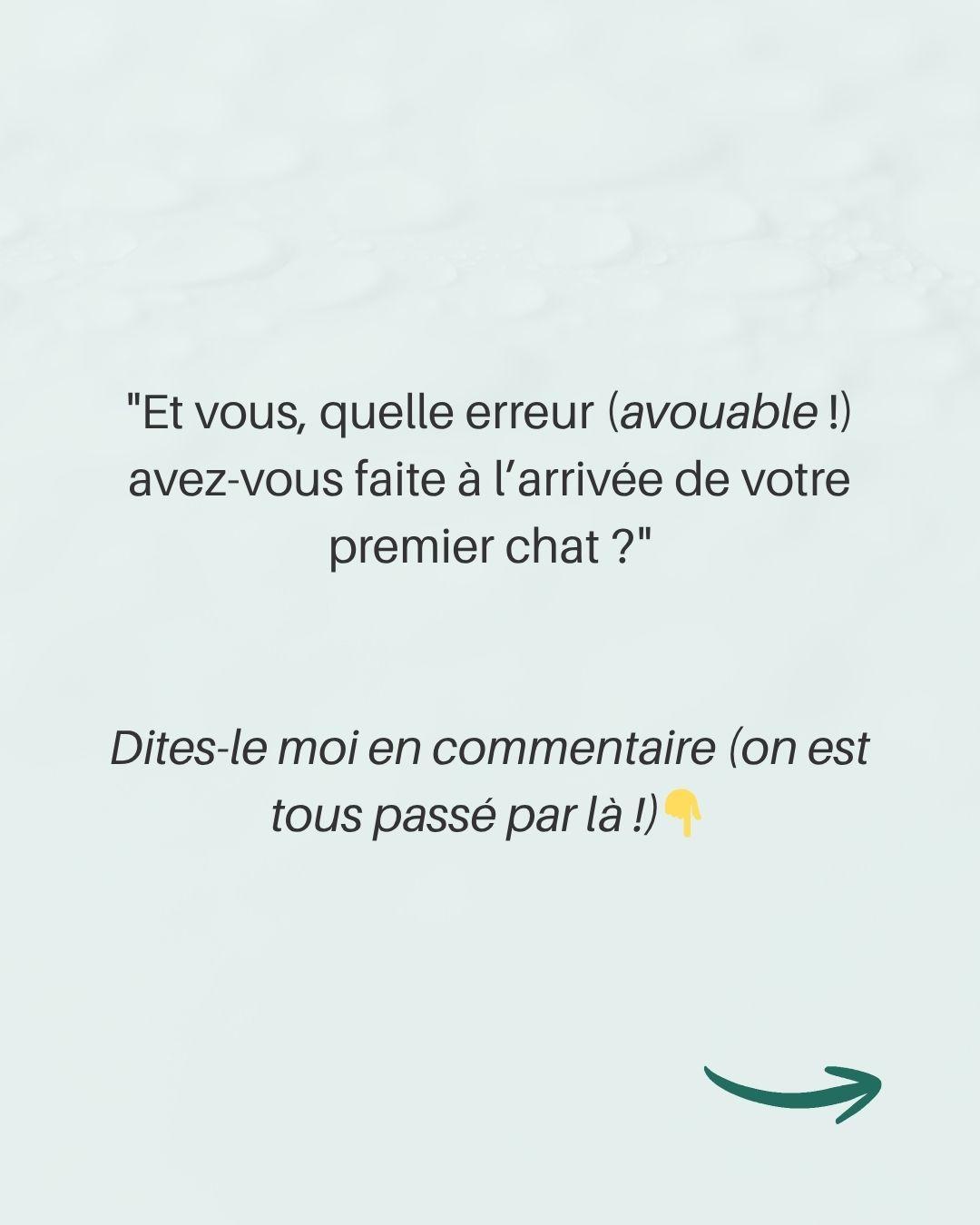 Erreurs avec chaton 11 