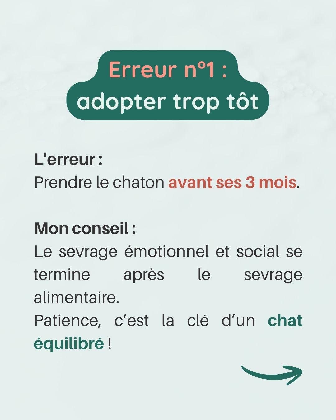 Erreurs avec chaton 2 