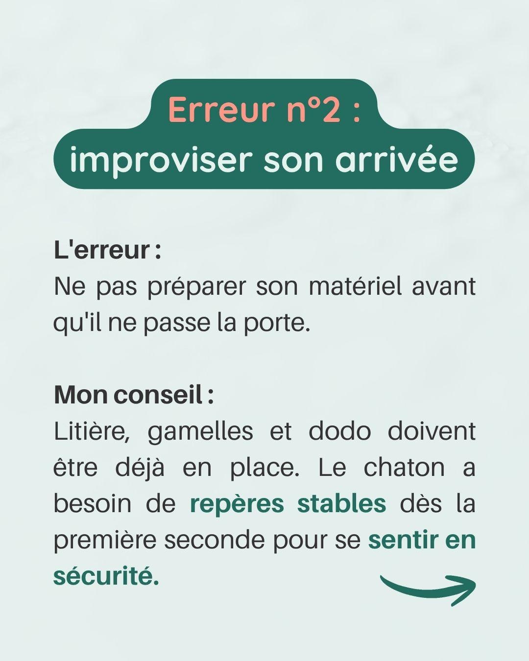 Erreurs avec chaton 3 