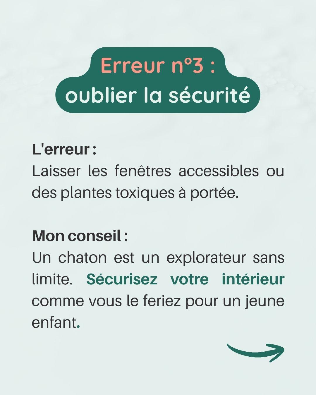 Erreurs avec chaton 4 