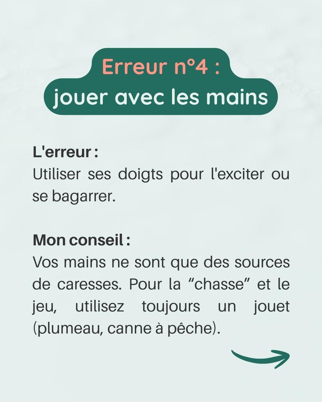 Erreurs avec chaton 5 