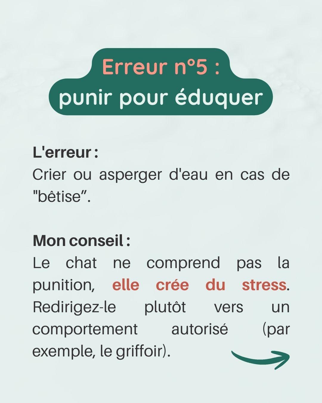 Erreurs avec chaton 6 