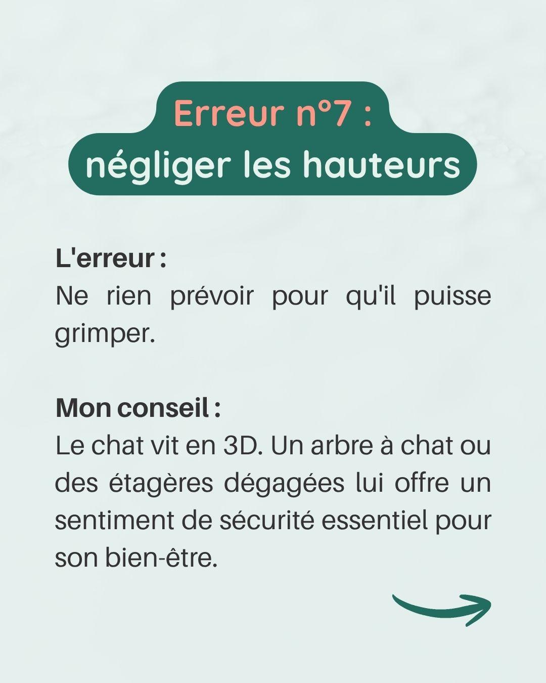 Erreurs avec chaton 8 