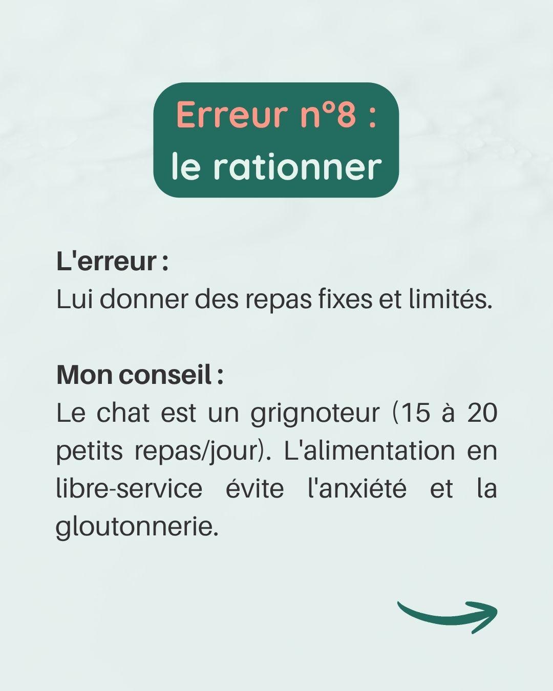 Erreurs avec chaton 9 