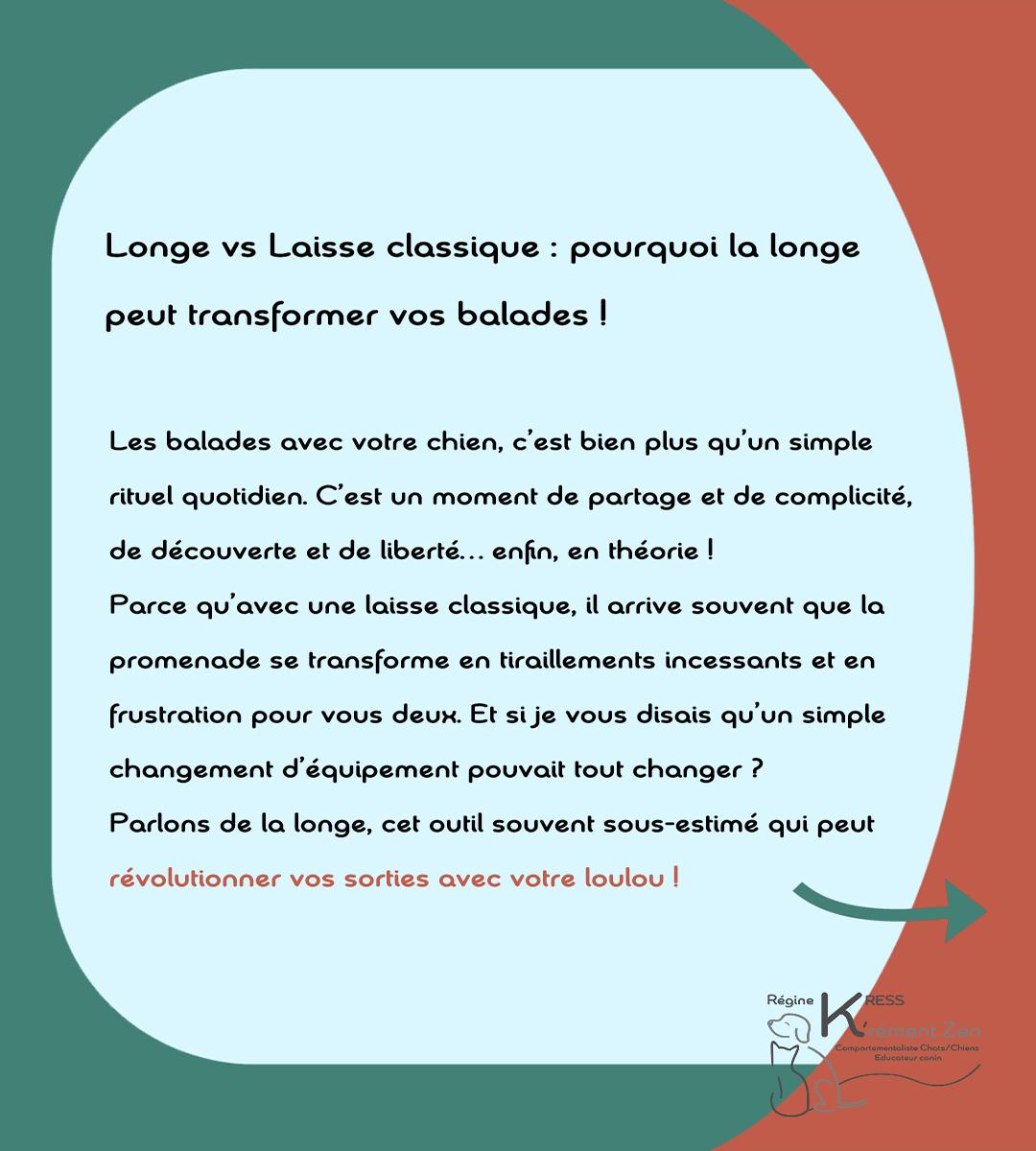Laisse vs longe 1