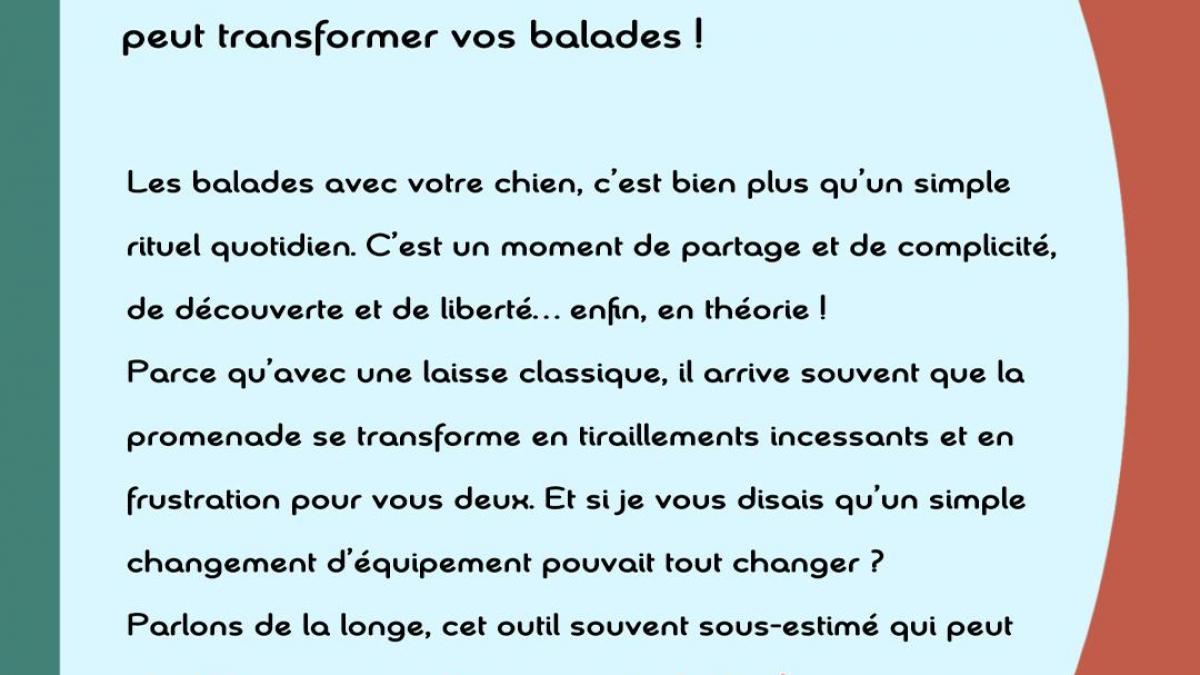 Chien qui tire en laisse