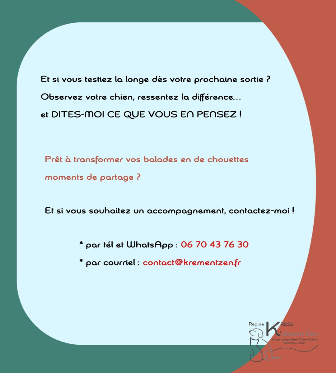 Laisse vs longe 10