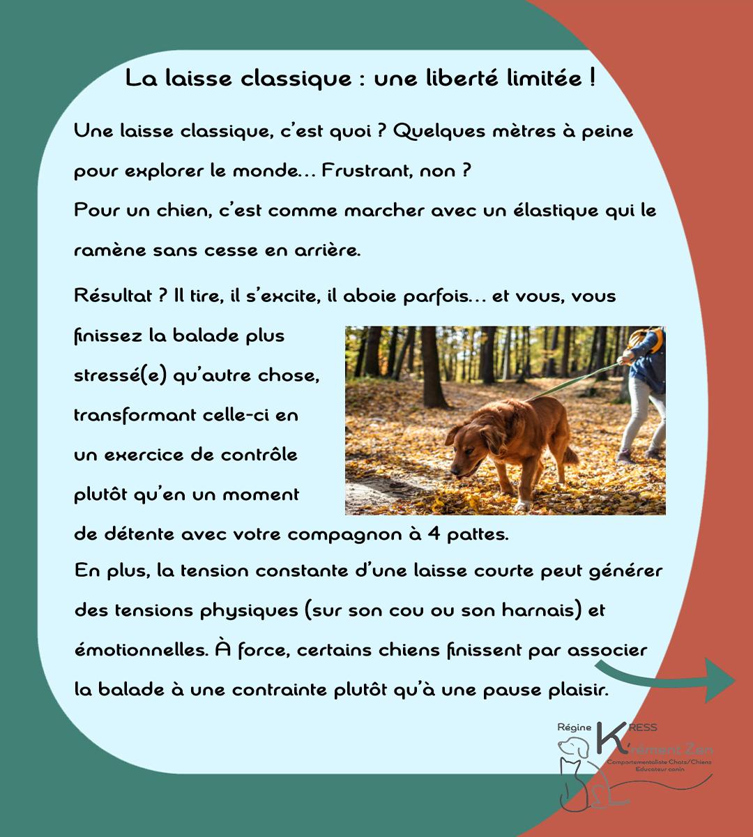 Laisse vs longe 2