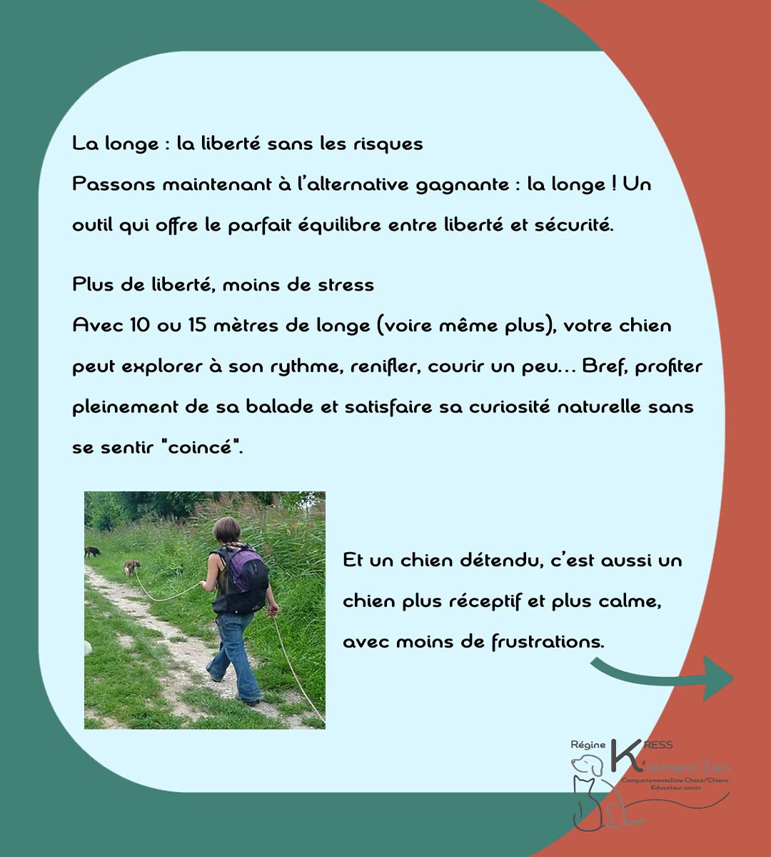 Laisse vs longe 5