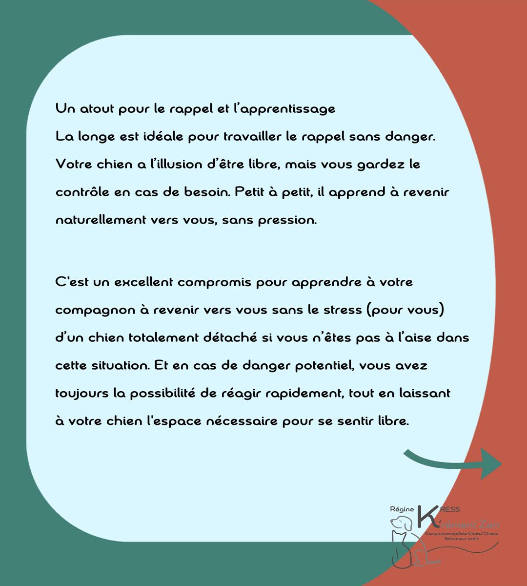 Laisse vs longe 6