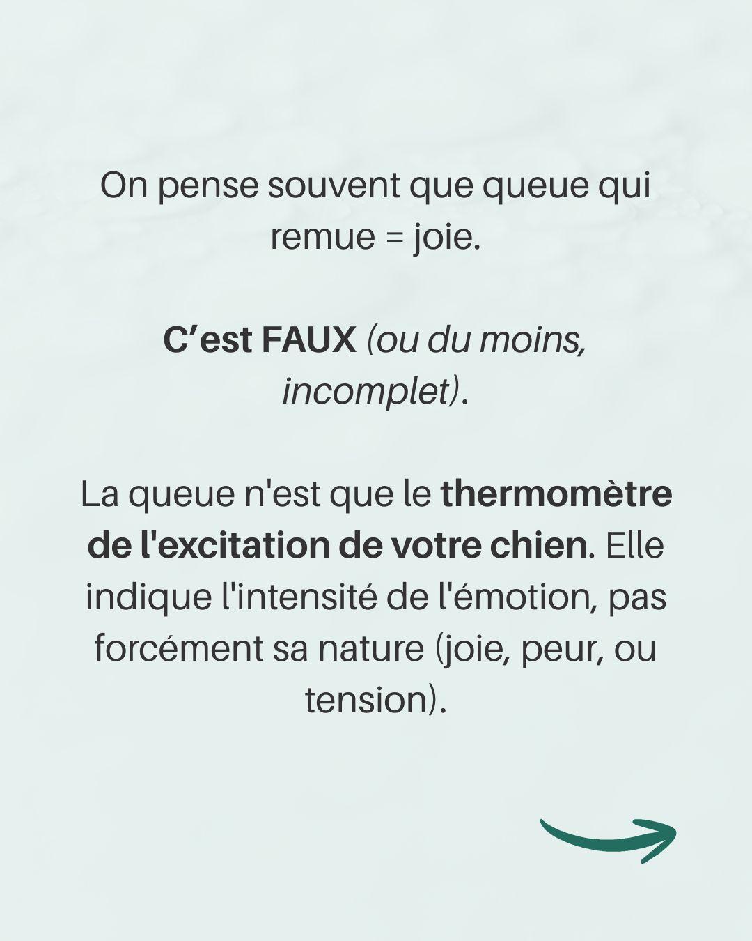Langage queue chien 2 