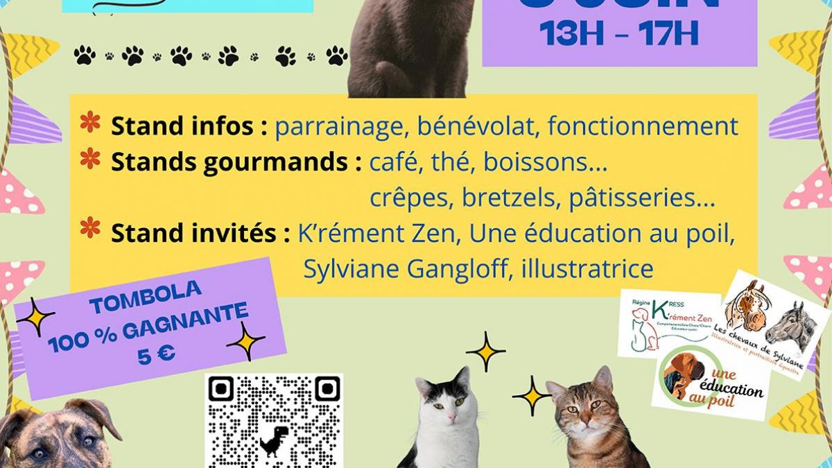 Stand de présentation - 07 et 08 juin 2025 - SPA de Saverne