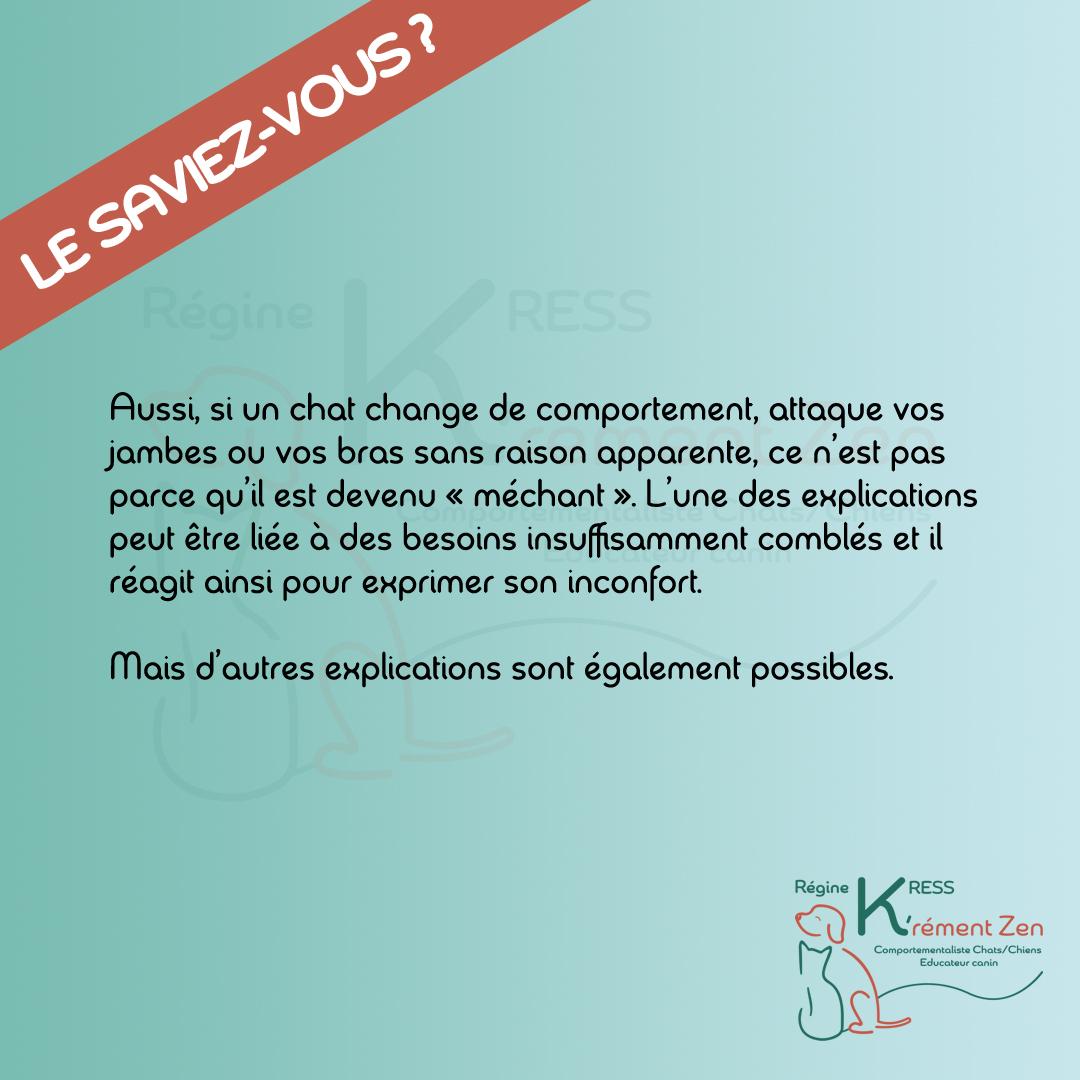 Reponse 4 2