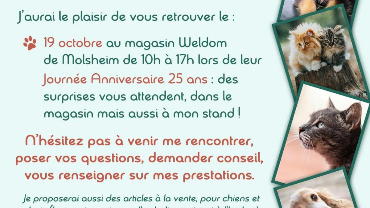 Stand comportementaliste -  Weldom - Molsheim