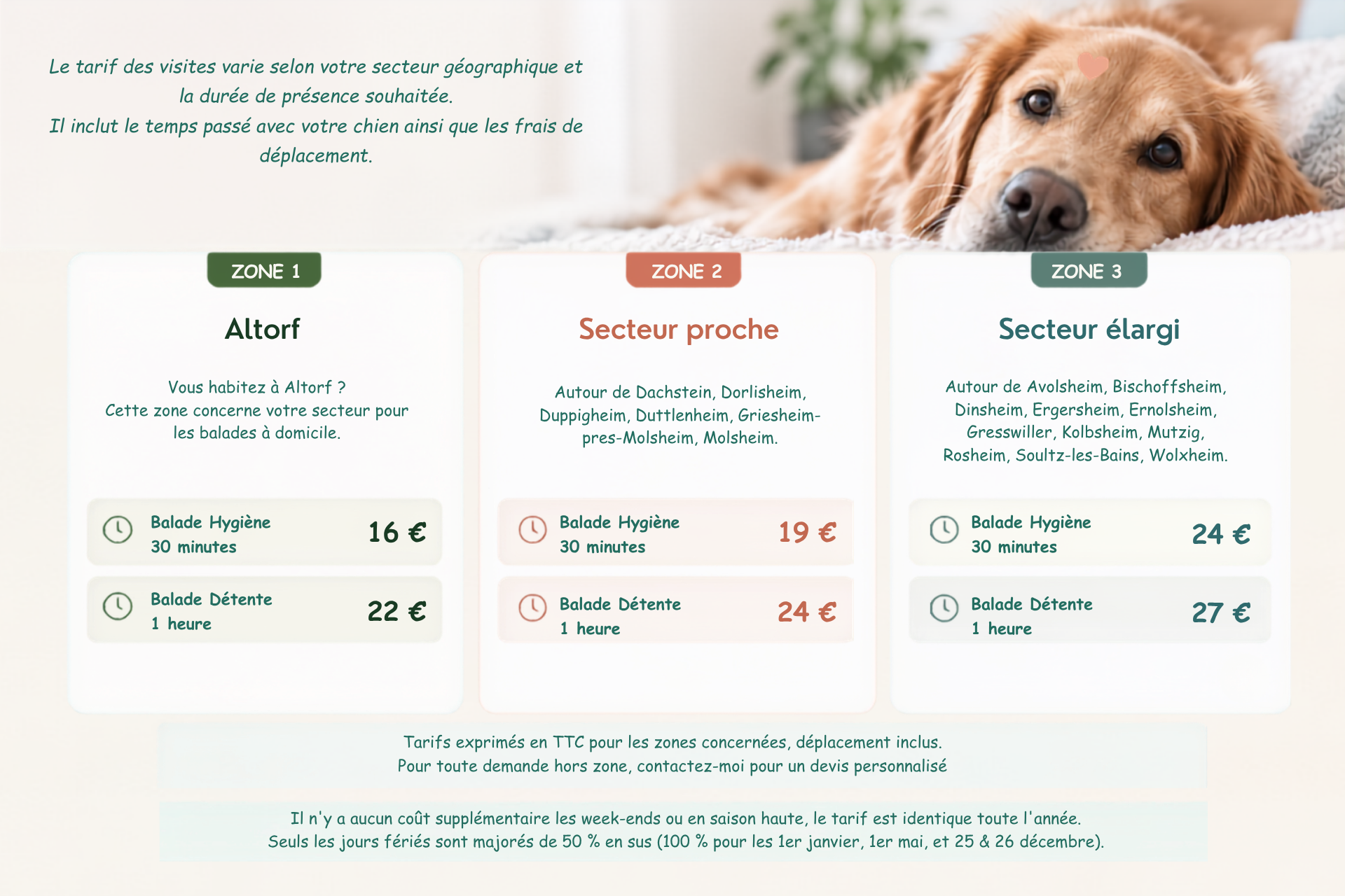 Tarifs balades chiens